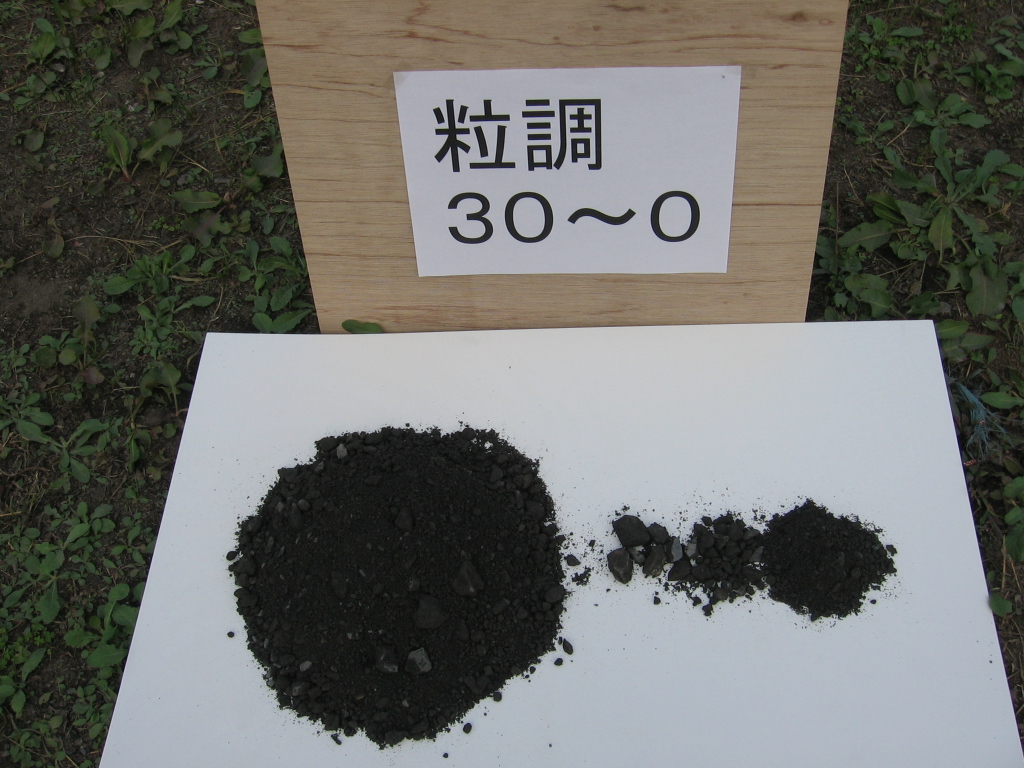 2024人気No.1の 18_0015.JPG その他